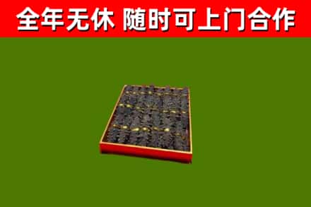 振安区回收海参